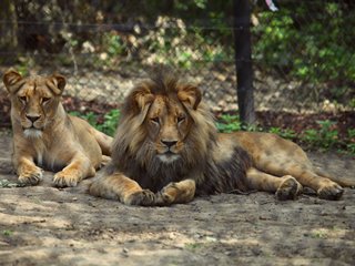 lvi brnenska zoo JIHOMORAVSKY KR