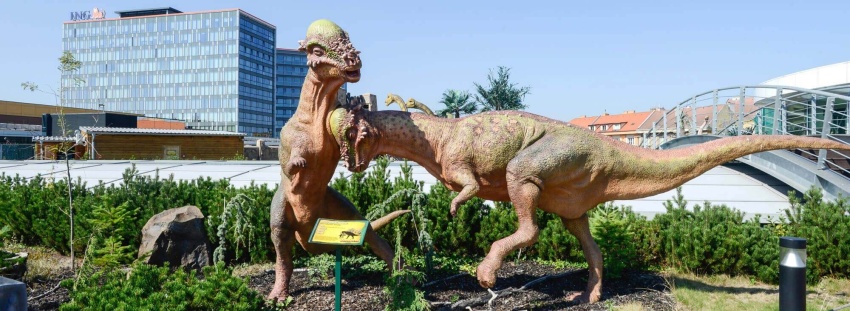 dinopark cesky dinosaur 